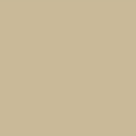 Sand Beige color swatch